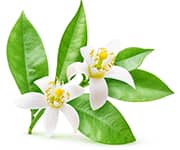 by-cosmetics Neroli
